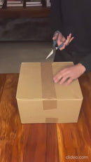 Kit Comedouro e Bebedouro Automático 2 em 1 — Dispenser de Ração + Reservatório de Água 1L para Cães e Gatos